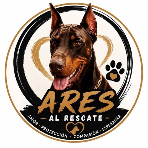 Logo oficial de Fundación Ares al Rescate