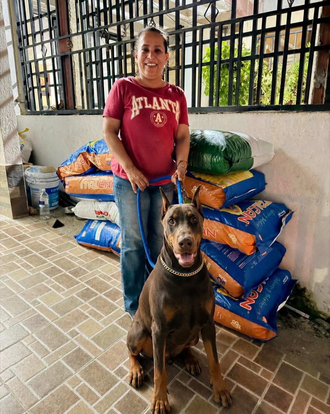 Donación de alimento para un albergue de perros en Tolima