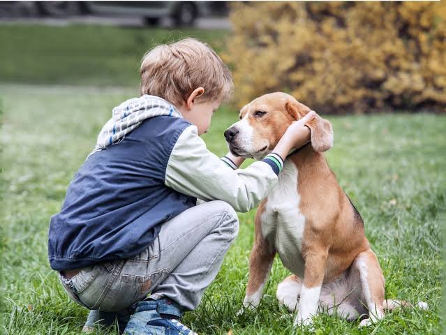 Perro con su familia adoptiva